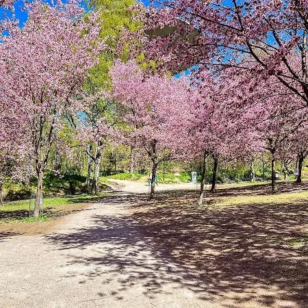 Cozy Near Roihuvuori Japanese Garden Helsinki