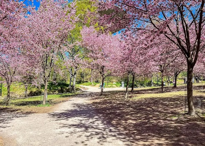 Cozy Near Roihuvuori Japanese Garden Helsinki